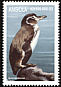Galapagos Penguin Spheniscus mendiculus  1999 Fauna 4v set