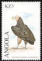 Lappet-faced Vulture Torgos tracheliotos  2000 Birds of prey 