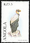 King Vulture Sarcoramphus papa  2000 Birds of prey 
