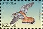 American Kestrel Falco sparverius  2000 Birds of prey Sheet