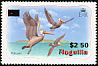Brown Pelican Pelecanus occidentalis  1984 Surcharge on 1982.01 