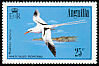 White-tailed Tropicbird Phaethon lepturus  1985 Birds 