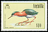 Green Heron Butorides virescens  1985 Birds 