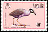 Yellow-crowned Night Heron Nyctanassa violacea  1985 Birds 