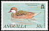 White-cheeked Pintail Anas bahamensis  2001 Anguillan birds 