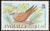 Brown Noddy Anous stolidus  2001 Anguillan birds 