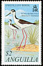 Black-necked Stilt Himantopus mexicanus  2001 Anguillan birds 