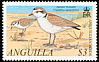 Snowy Plover Charadrius nivosus  2001 Anguillan birds 