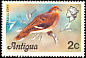 Zenaida Dove Zenaida aurita  1976 Definitives 