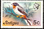 Rufous-throated Solitaire Myadestes genibarbis  1976 Definitives 