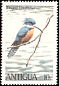 Ringed Kingfisher Megaceryle torquata  1980 Birds 