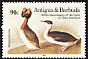 Horned Grebe Podiceps auritus  1985 Audubon 