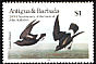 European Storm Petrel Hydrobates pelagicus  1985 Audubon 
