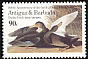 American Black Duck Anas rubripes  1986 Audubon 