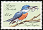Ringed Kingfisher Megaceryle torquata  1988 Birds of Antigua 