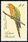 Brown-throated Parakeet Eupsittula pertinax  1988 Birds of Antigua 