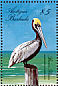 Brown Pelican Pelecanus occidentalis  1988 Birds of Antigua  MS MS