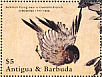 Eurasian Bullfinch Pyrrhula pyrrhula  1989 Hiroshige  MS