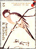 Japanese Tit Parus minor  1989 Hiroshige  MS MS