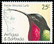 Purple-throated Carib Eulampis jugularis  1990 Birds 