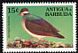 Bridled Quail-Dove Geotrygon mystacea  1994 Birds 