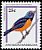 Antillean Euphonia Chlorophonia musica  1995 Birds 