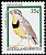 Eastern Meadowlark Sturnella magna  1995 Birds 