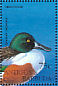 Northern Shoveler Spatula clypeata  1995 Ducks of Antigua and Barbuda Sheet