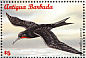 Magnificent Frigatebird Fregata magnificens  1996 Seabirds  MS