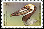 Brown Pelican Pelecanus occidentalis  1998 Seabirds of the world 