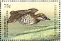 Marbled Murrelet Brachyramphus marmoratus  1998 Seabirds of the world Sheet