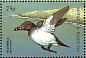 Razorbill Alca torda  1998 Seabirds of the world Sheet