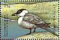 Long-tailed Jaeger Stercorarius longicaudus  1998 Seabirds of the world Sheet