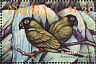 Nanday Parakeet Aratinga nenday  2000 Stamp Show 2000 Sheet