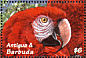 Scarlet Macaw Ara macao