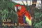 Scarlet Macaw Ara macao