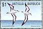 Black-capped Petrel Pterodroma hasitata  2002 Fauna and flora of the Caribbean 9v sheet
