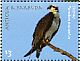 Western Osprey Pandion haliaetus  2009 Birds Sheet