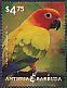 Sun Parakeet Aratinga solstitialis  2014 Parrots Sheet