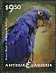 Hyacinth Macaw Anodorhynchus hyacinthinus  2014 Parrots Sheet