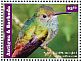 Rufous-tailed Hummingbird Amazilia tzacatl  2015 Hummingbirds Sheet