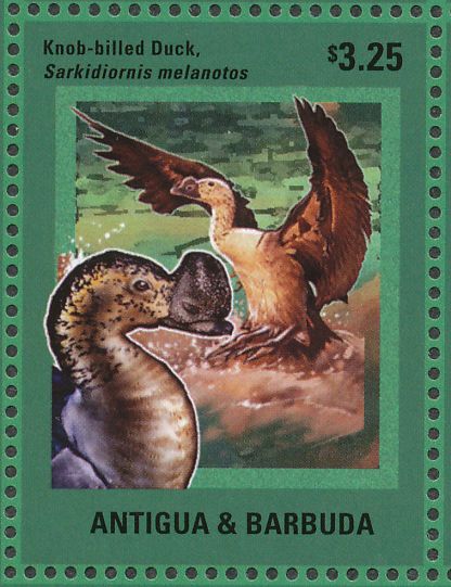 Knob-billed Duck stamps images