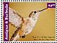 Broad-tailed Hummingbird Selasphorus platycercus  2015 Hummingbirds Sheet