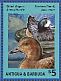 Chiloe Wigeon Mareca sibilatrix  2015 Ducks Sheet