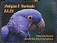 Hyacinth Macaw Anodorhynchus hyacinthinus  2015 Macaws Sheet