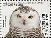 Snowy Owl Bubo scandiacus  2017 Animals of the world  MS