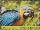 Blue-and-yellow Macaw Ara ararauna  2017 Macaws Sheet