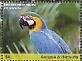 Blue-and-yellow Macaw Ara ararauna  2017 Macaws Sheet