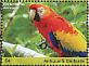 Scarlet Macaw Ara macao  2017 Macaws Sheet