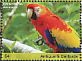 Scarlet Macaw Ara macao